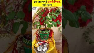 Tulsi Vivah Kab Hai 2024  तुलसी विवाह 2024 में कब है शुभ मुहूर्त  Tulsi Vivaah 2024 Date Time [upl. by Klarrisa515]