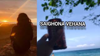 Saighona Vehana Dolighe  Desert Sounds [upl. by Aelgna]