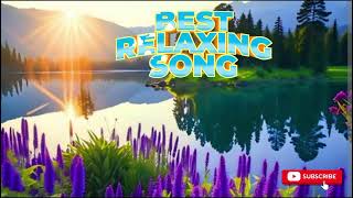 viral best relaxing song music songtrendingprabha song [upl. by Trust]