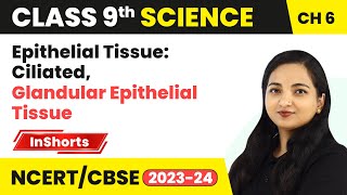 Epithelial Tissue Ciliated Glandular Epithelial Tissue  Class 9 Biology Chapter 6  Tissues [upl. by Winchester71]