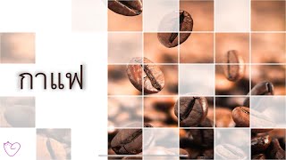 introduction กาแฟ coffee arabica robusta  ความรู้ knowledge kids powerpoint design [upl. by Hale]