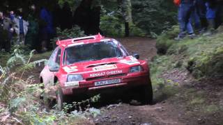 Rallye des Cimes 2011  The Brits [upl. by Anirehc]