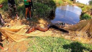 Primera pesca en Colombia pescamos anguilas gigantes eléctricas y muchos peces [upl. by Nalat]