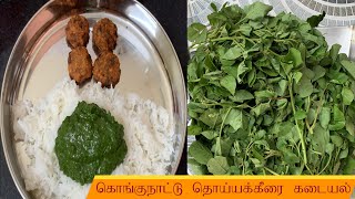 Thoiyal keerai Kadayal kongunadurecipes tamilfood [upl. by Hannah]