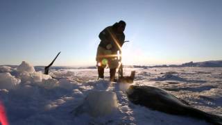 Inuit Culture in Greenland [upl. by Oliver]