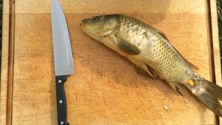 Carp Catch And Cook The Simple Way [upl. by Nonek]