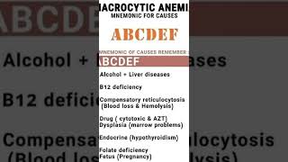 Macrocytic Anaemia science humanbody [upl. by Tilden]