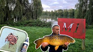 Carp Fishing At Suffolk Water Park October 2024 [upl. by Essej]