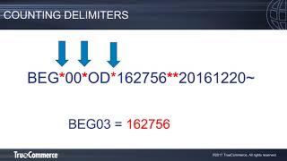 EDI Basics Reading X12 EDI [upl. by Lesh]