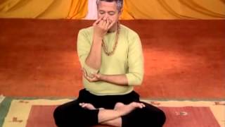 Pranayama Yoga For Beginners In English [upl. by Eelrebma]