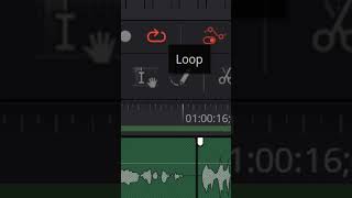 LOOP Your Audio  DaVinci Resolve [upl. by Yakcm]