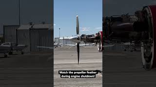 propeller feathering on a PC1247E during engine shutdown pilatus pc12 aviation pilot mechanic [upl. by Suissac240]