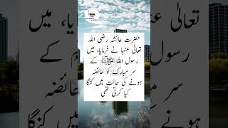 sahih Bukhari hadees 295 islamic ytshorts hazrat ayesha haiz ki halat mien hazoor ki kangi krti [upl. by Ainimre866]