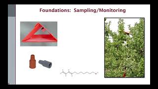 New Products and Approaches for Codling Moth Management [upl. by Gomar696]