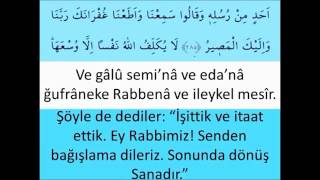 Bakara Suresi Son İki Ayet Amerrasulü ve Fazileti yeni öğrenenler için [upl. by Nessnaj]