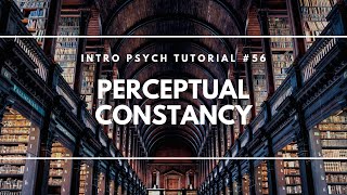 Perceptual Constancy Intro Psych Tutorial 56 [upl. by Chladek]