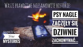 Wasze prawdziwe niesamowite historie Psy nagle zaczęły się dziwnie zachowywać [upl. by Durwyn]