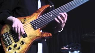 InnerWood Studio356 Fretless 3 [upl. by Grassi]