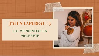 J’AI UN LAPEREAU 3  L’APPRENTISSAGE DE LA PROPRETÉ [upl. by Gurolinick]