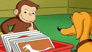 Georges le Petit Singe 🐵 La nouvelle collection de George 🐵 Dessins Animés [upl. by Ennyl]