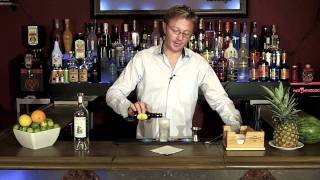 How to make a Gin and Tonic GampT Cocktail  Drink recipes from The One Minute Bartender [upl. by Aciemaj233]