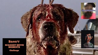 Bravos SCARIEST MOVIE MOMENTS Challenge CUJO 1983 [upl. by Norej]