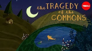 What is the tragedy of the commons  Nicholas Amendolare [upl. by Sussna]