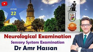 أدعمرو حسن الحسني أستاذ المخ والأعصابNeurological Examination Sensory System Examination [upl. by Shaum]