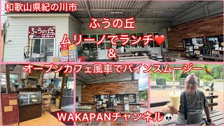 和歌山県紀の川市 ふうの丘 ムリーノでランチampオープンカフェ風車でパインスムージー🍍WAKAPANチャンネル🐼 [upl. by Sloan]