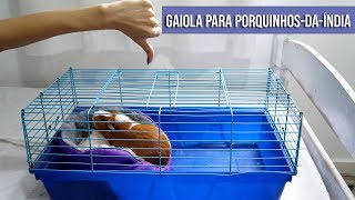 GAIOLA PARA PORQUINHO DA ÍNDIA 🐹 [upl. by Damiano]