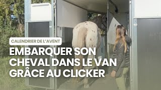 🎄 Jour 9  embarquer son cheval dans le van [upl. by Yarrum]