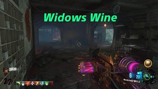 Call of Duty Black Ops III Black Ops Zombies Shi No Numa [upl. by Miran786]