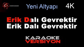 ERİK DALI Gevrektir KARAOKE [upl. by Nagud]