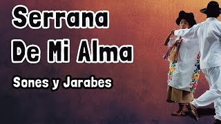 Serrana De Mi Alma ⇛ Sones y Jarabes ⇚ Banda Filarmónica Aires Oaxaqueños [upl. by Odelet]