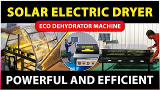 Solar Electric Dryer for Fruits and Vegetables  Eco dehydrator Machine [upl. by Meta]