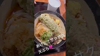 吉祥寺吉祥寺グルメ 激うまうどん influencer instagram youtubeshorts tiktok 和食日本 [upl. by Michail]