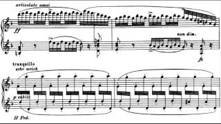 BachBusoni  Chaconne in D minor [upl. by Nnaeus]