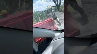 La Via en Rosas Cauca me Sorprendió [upl. by Fraya257]