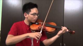 Demi Lovato  Heart Attack  Nathan Luong Violin Cover [upl. by Audwen]