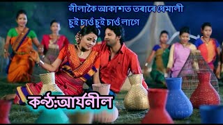 Nilakoi Akaxot Original song Aryaneel  নীলাকৈ আকাশত  আৰ্যনীল  AryaneelBorah assamesesong [upl. by Nynnahs]