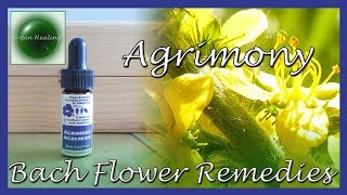 Agrimony  For Mental Torture Bach Flower Remedies Green Healing S3E5 [upl. by Sorenson]