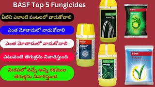 BASF Top 5 Fungicides  Acrisio  Cabrio top  Acrobat  Merivon  Polyram [upl. by Aldin522]