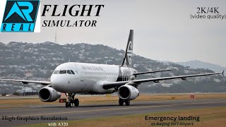 Emergency Landing at Beijing Capital Intl Airport  RFS Simulator  Airbus A320  Ultra Real 4K [upl. by Jarlath]