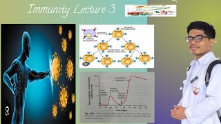 Primary and Secondary Response of Immune System [upl. by Peony]