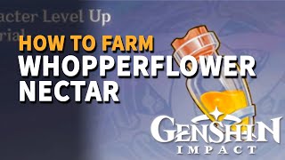 Whopperflower Nectar Genshin Impact How to farm [upl. by Shanon]