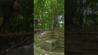 Part 4  Building a Warm and Cozy Dugout  Bushcraft Underground Shelter Wooden Wall With Survival [upl. by Bernat820]