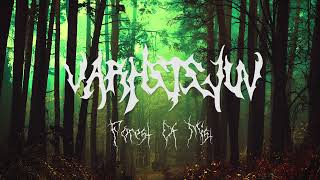 Varnstjüv Forest of Mist Dungeon Synth [upl. by Alvis]