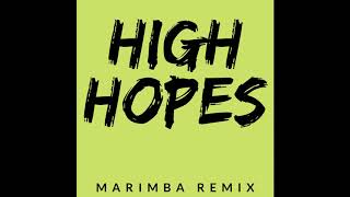 High Hopes  Panic At The Disco Marimba Remix Marimba Ringtone  iRingtones [upl. by Nnylhsa60]