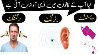 Tinnitus tinnitus causes symptoms and treatment  Kano me shor ka ilaj [upl. by Ecilahc]