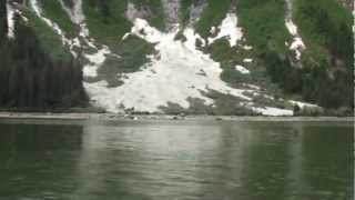 Fords Terror Inlet amp Dawes Glacier [upl. by Neumark257]